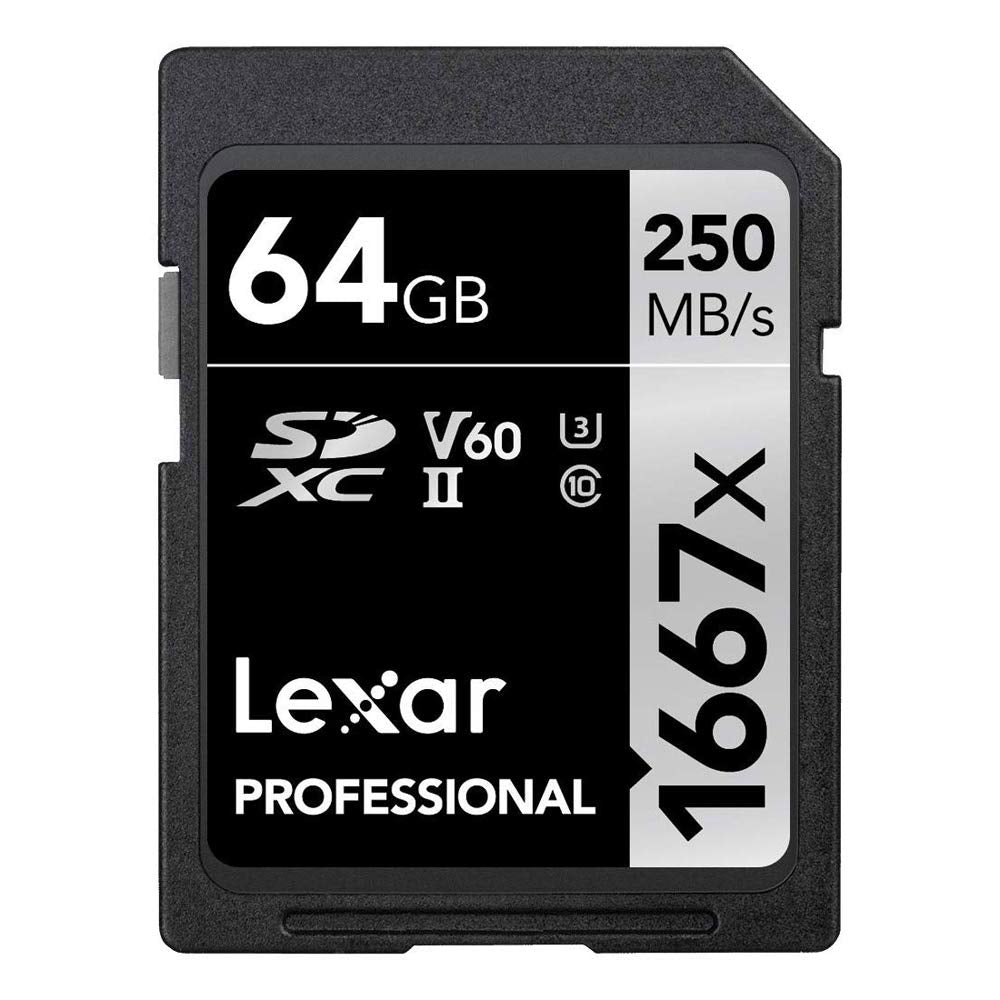 Sigma 213965 14-24mm f/2.8 DG DN Art Lens for Sony E Black Bundle with Lexar Professional SDHC/SDXC 1667x UHS-II 64GB Memory Card