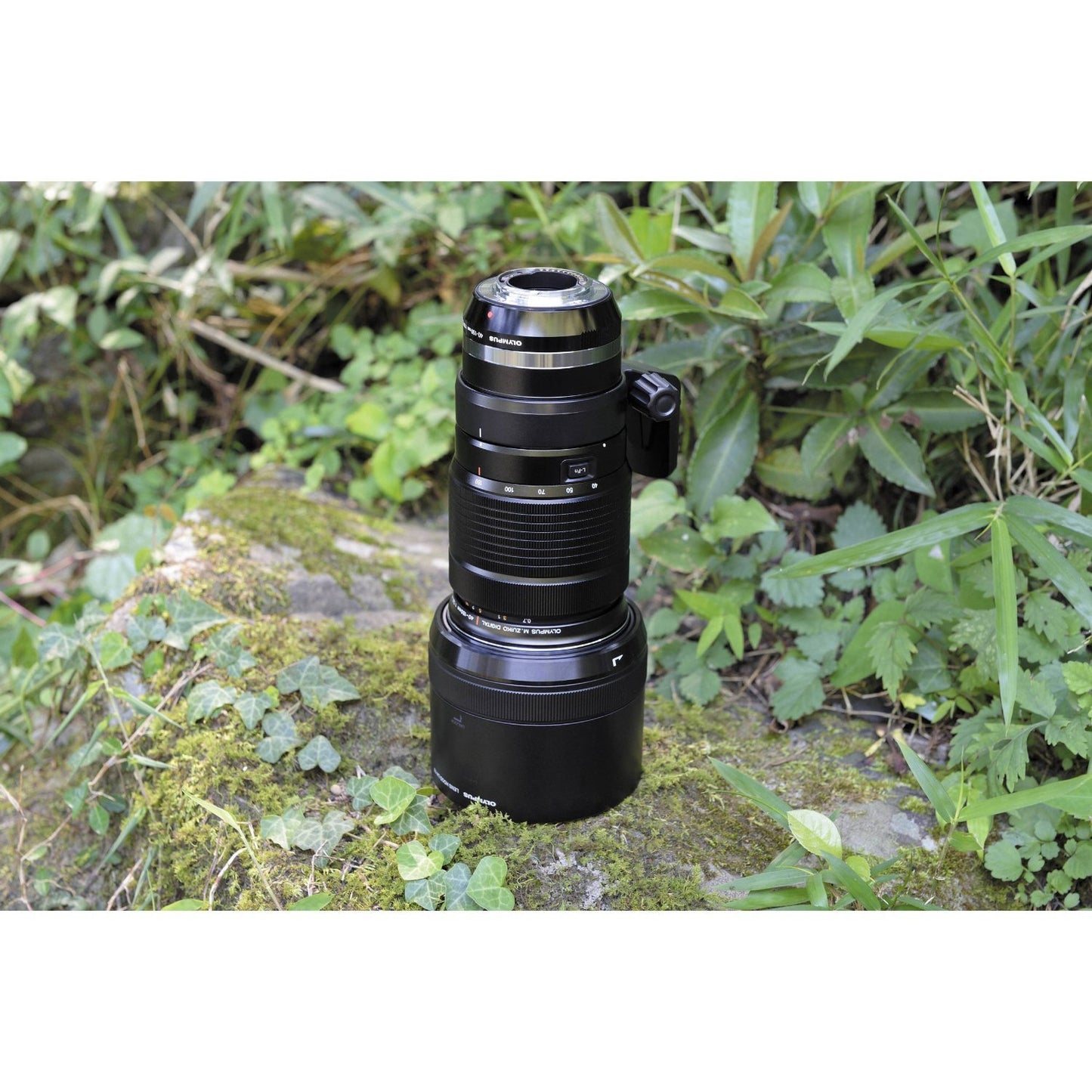 Olympus M 40-150mm f/2.8 Interchangeable PRO Lens for Olympus/Panasonic Micro 4/3 Cameras + Manufacturer Accessories + 3PC Filter Kit + Lens Blower + Microfiber Cleaning Cloth