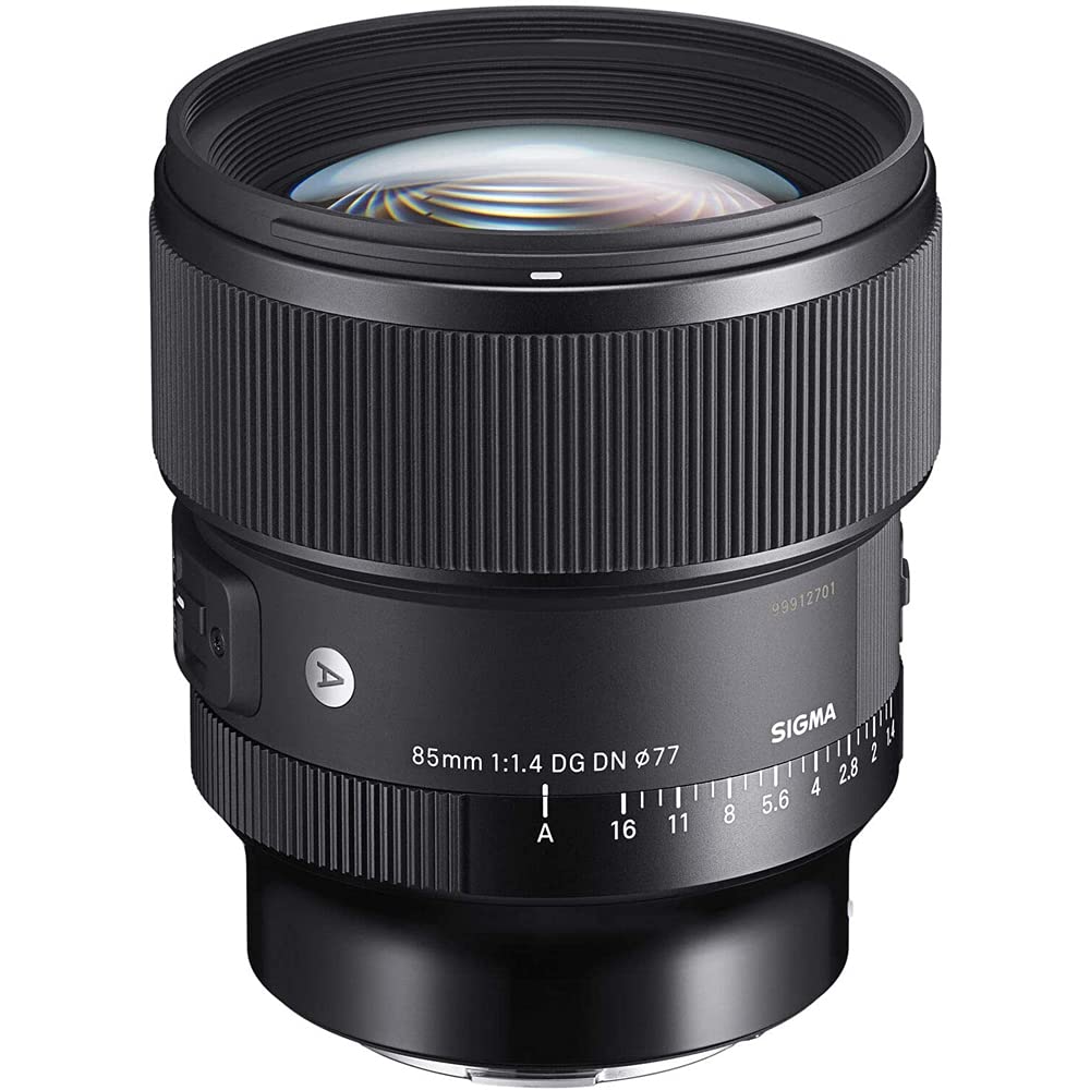 Sigma 322965 85mm F1.4 DG DN Art Lens for Full Frame Sony E-Mount Mirrorless Cameras Bundle with Lexar Professional SDHC/SDXC 1667x UHS-II 64GB Memory Card