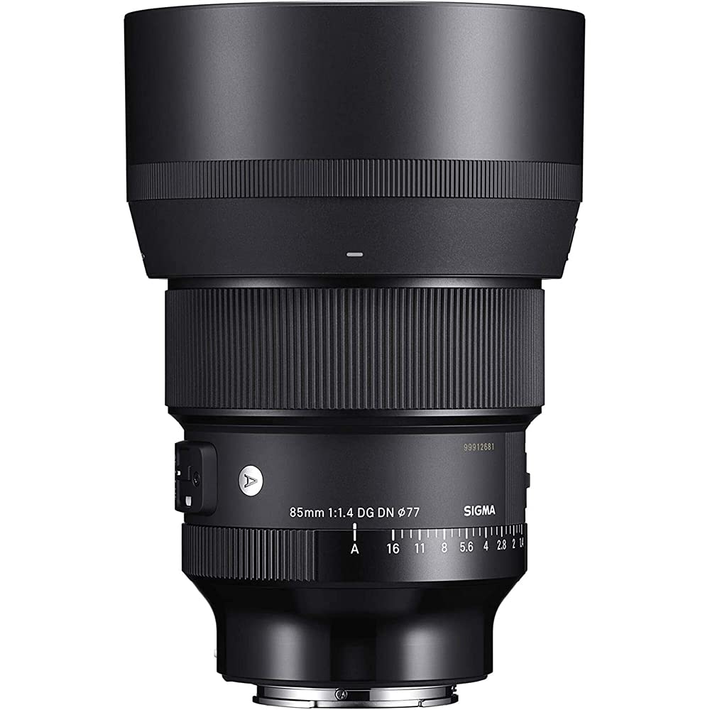 Sigma 322965 85mm F1.4 DG DN Art Lens for Full Frame Sony E-Mount Mirrorless Cameras Bundle with Lexar Professional SDHC/SDXC 1667x UHS-II 64GB Memory Card
