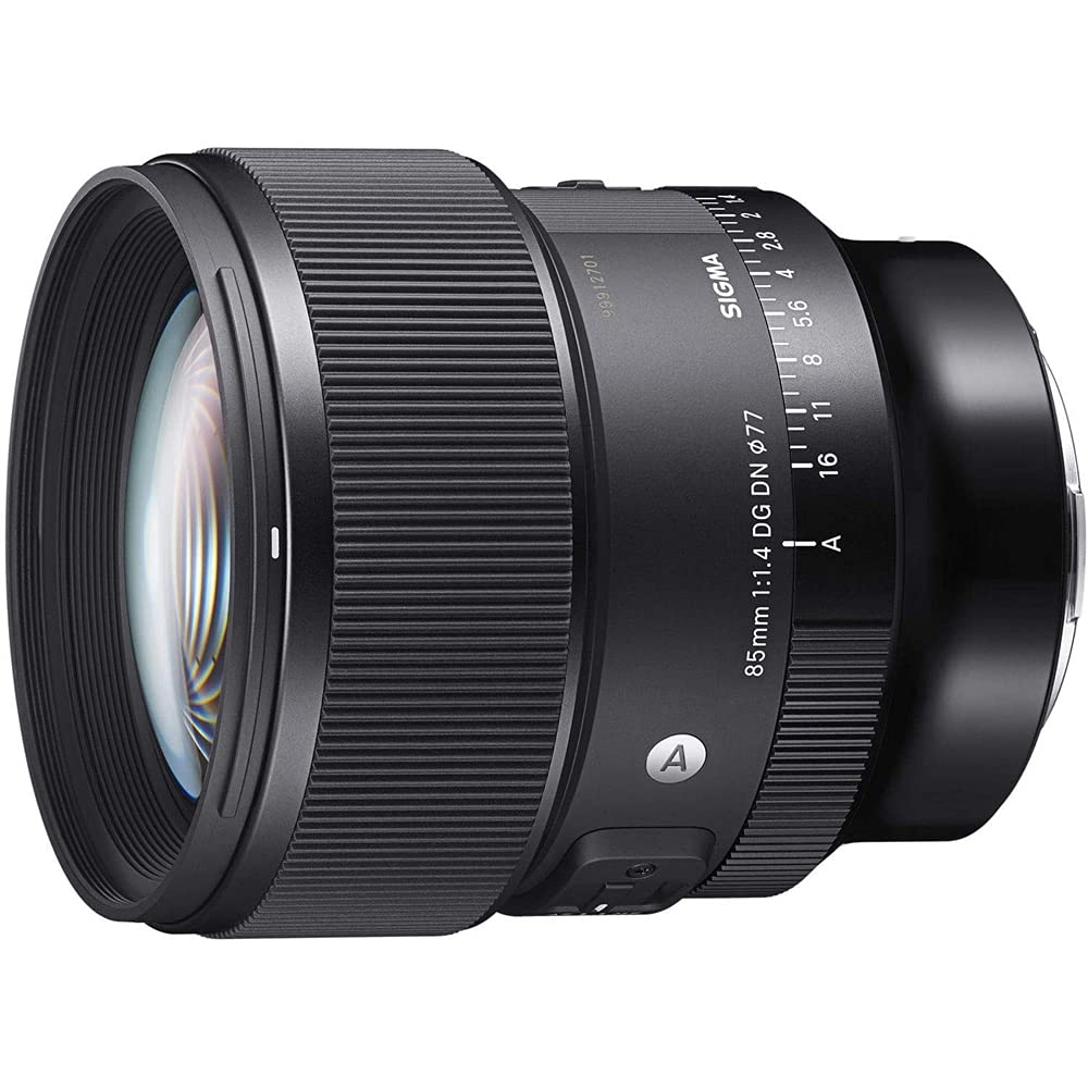 Sigma 322965 85mm F1.4 DG DN Art Lens for Full Frame Sony E-Mount Mirrorless Cameras Bundle with Lexar Professional SDHC/SDXC 1667x UHS-II 64GB Memory Card