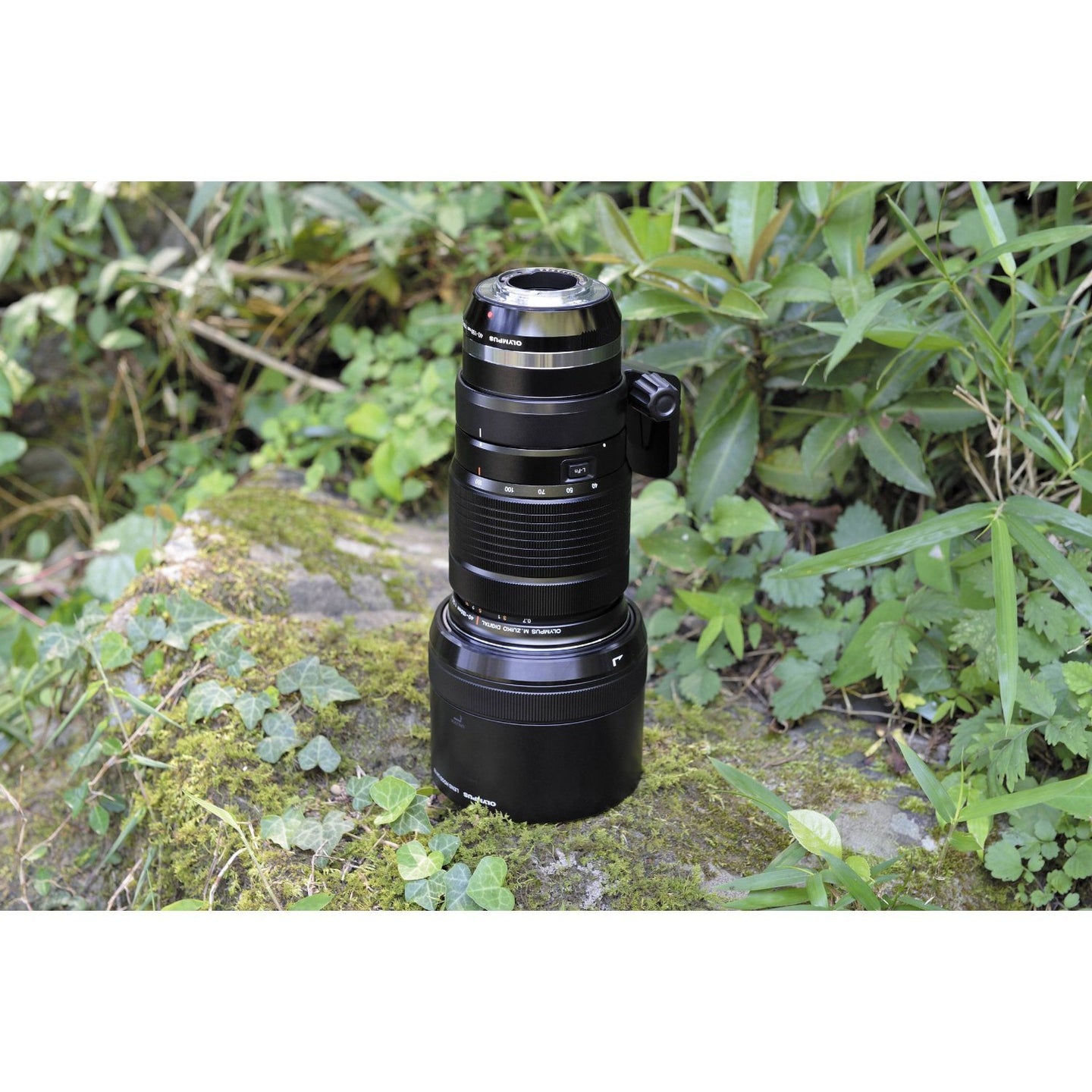 Olympus M 40-150mm f/2.8 Interchangeable PRO Lens for Olympus/Panasonic Micro 4/3 Cameras + Manufacturer Accessories + 3PC Filter Kit + Lens Blower + Microfiber Cleaning Cloth