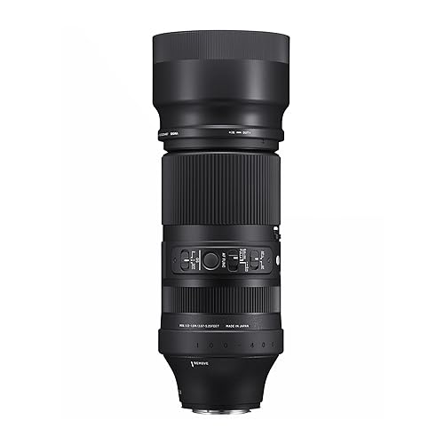 Sigma 105mm f/2.8 DG DN Macro Art Lens for Sony E