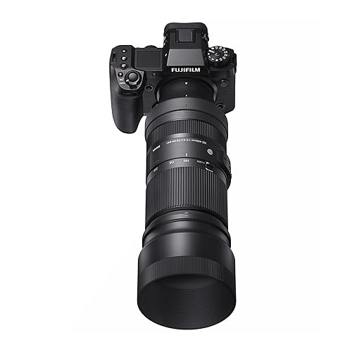 Sigma 105mm f/2.8 DG DN Macro Art Lens for Sony E