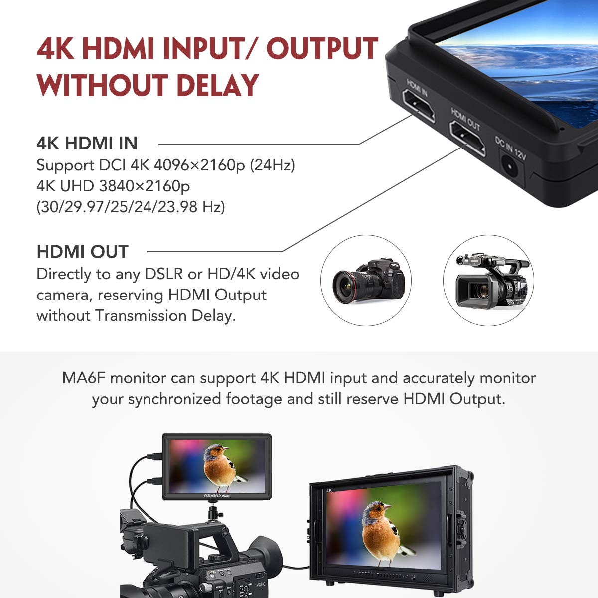 Feelworld Master MA6F 5.5 DSLR Monitor 4K HDMI 8.4V DC in/Out, Full HD 1920x720p LCD Camera Field Monitor Tilt Arm Included