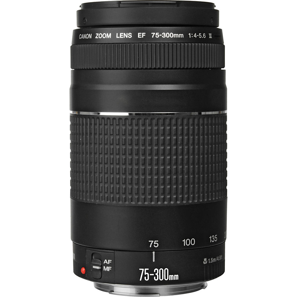 Canon EF 75-300mm f/4-5.6 III Lens (White Box)