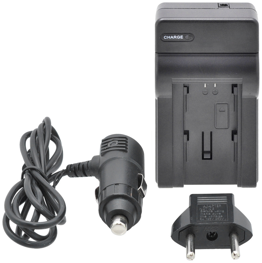 AC/DC Rapid Home and Travel Charger LI-90B